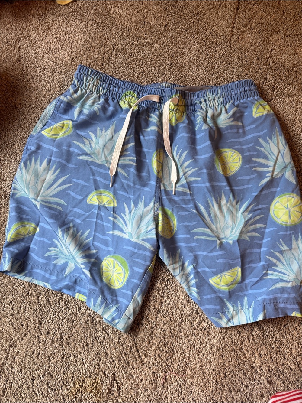 chubbies Light Blue Pineapple & Lemon Swim Shorts
